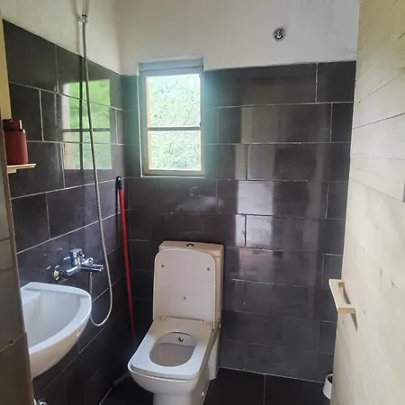 Guest Hause Artanii *