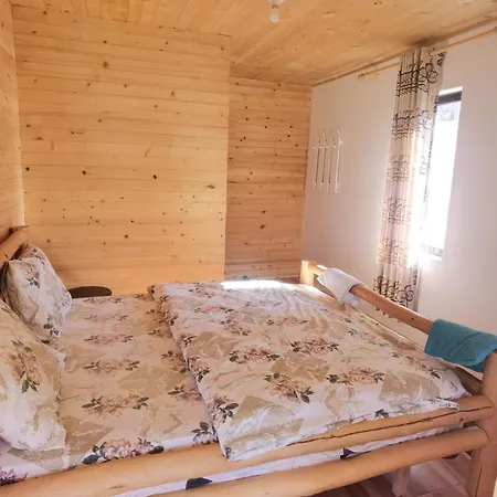 Guest Hause Artanii *